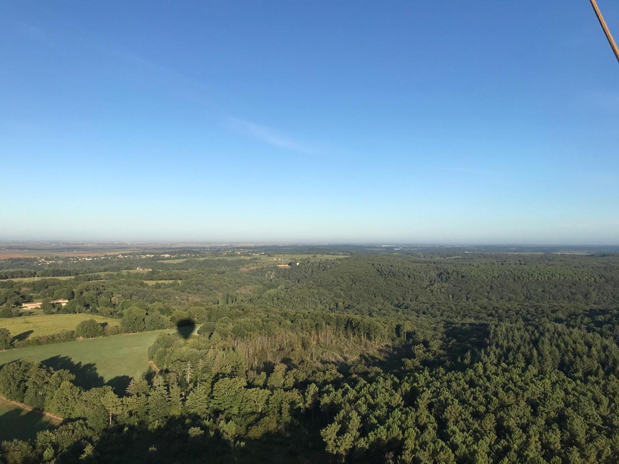 Du Rossignol Entre Et Forêt *