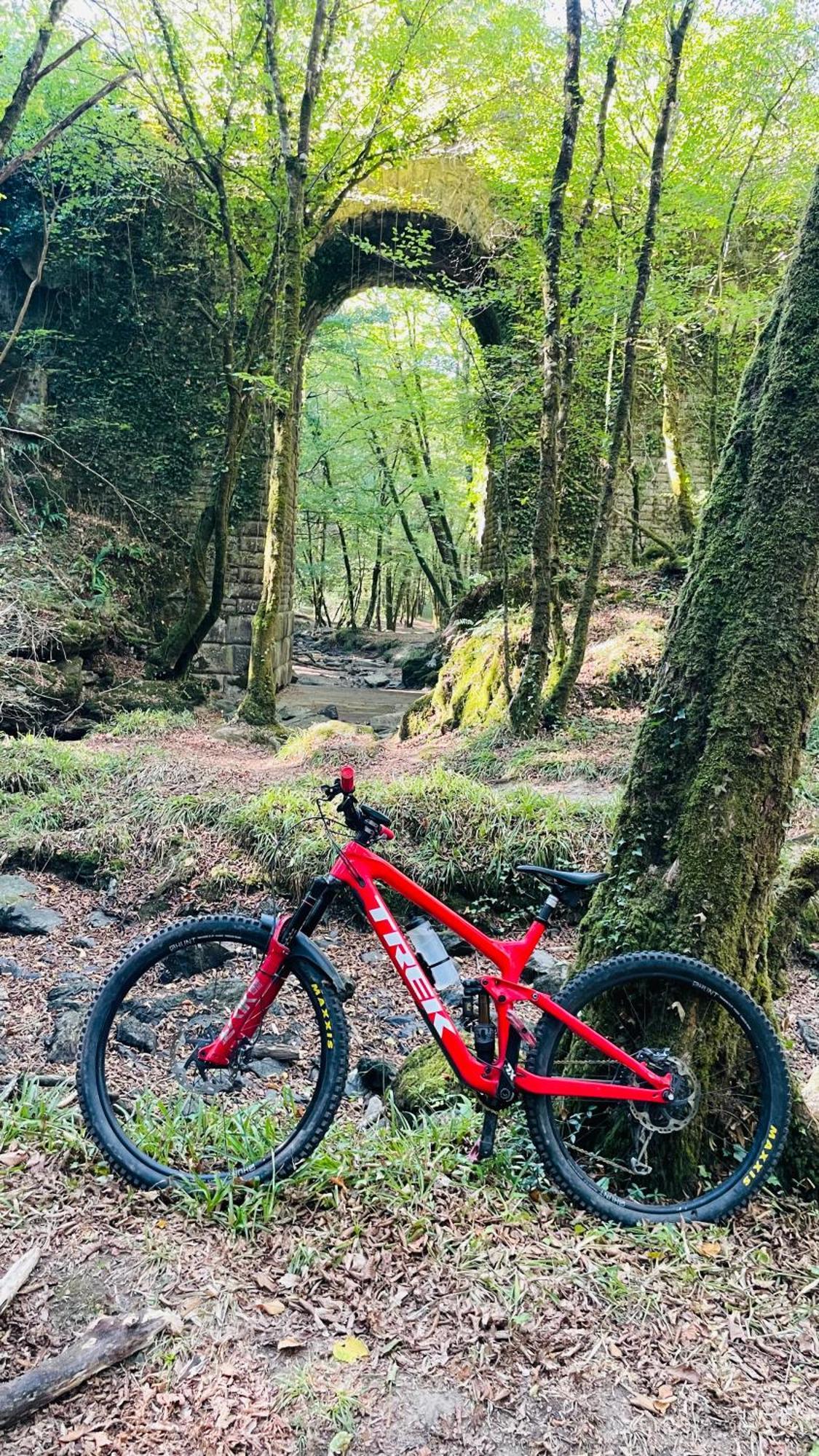 Hébergement de vacances Du Rossignol Entre Et Forêt *