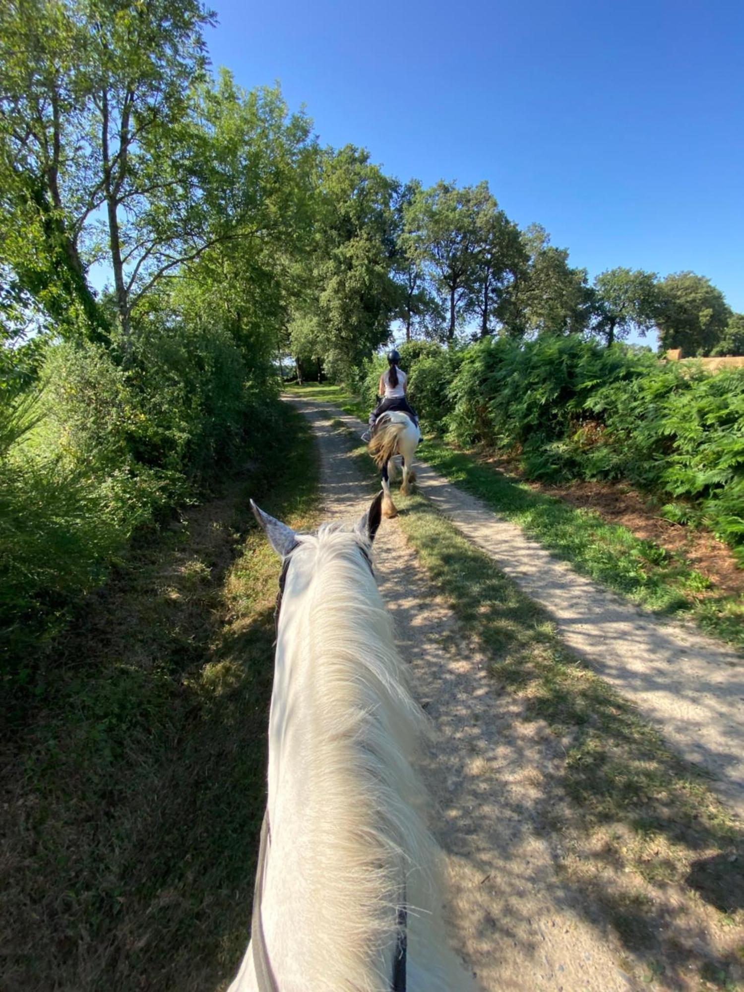 Hébergement de vacances Du Rossignol Entre Et Forêt *